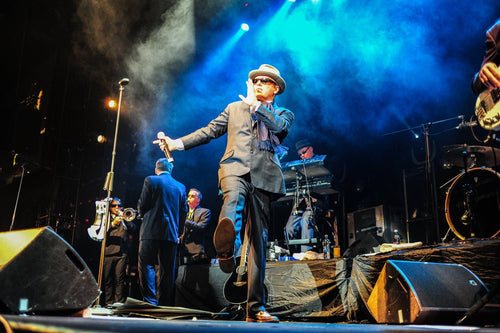 Musicians With Tinnitus